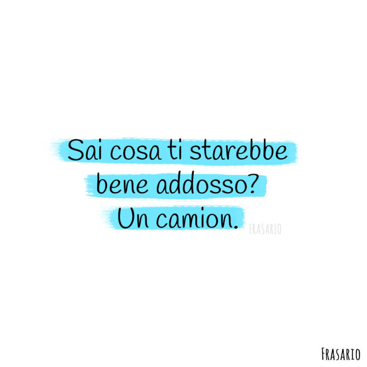 Frasi cattive camion