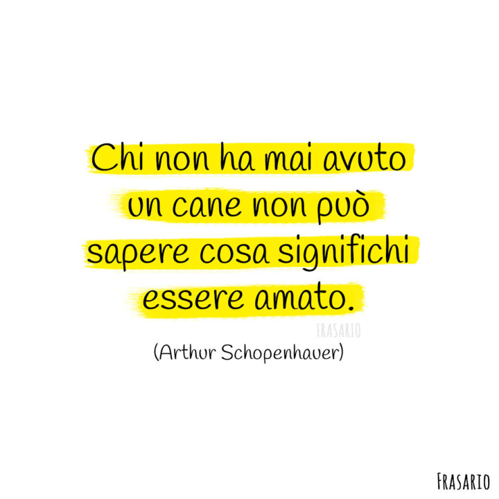 Frasi cani amato Schopenhauer