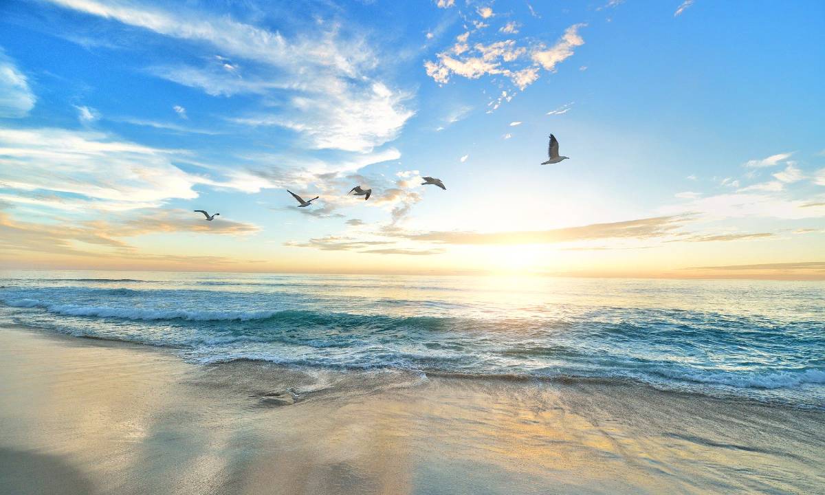 60 Frasi In Inglese Sul Mare Le Piu Belle E Suggestive Con Traduzione