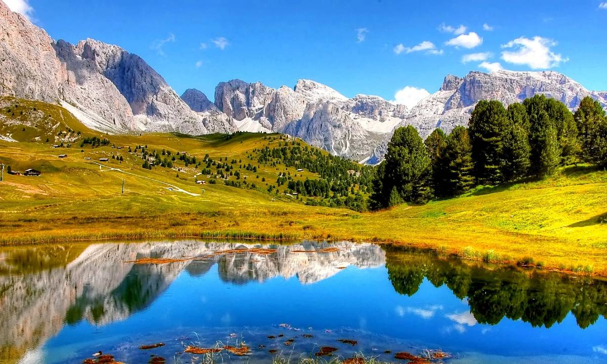 55 Frasi sulla Natura (in inglese e italiano): le più belle, originali,  ispirate