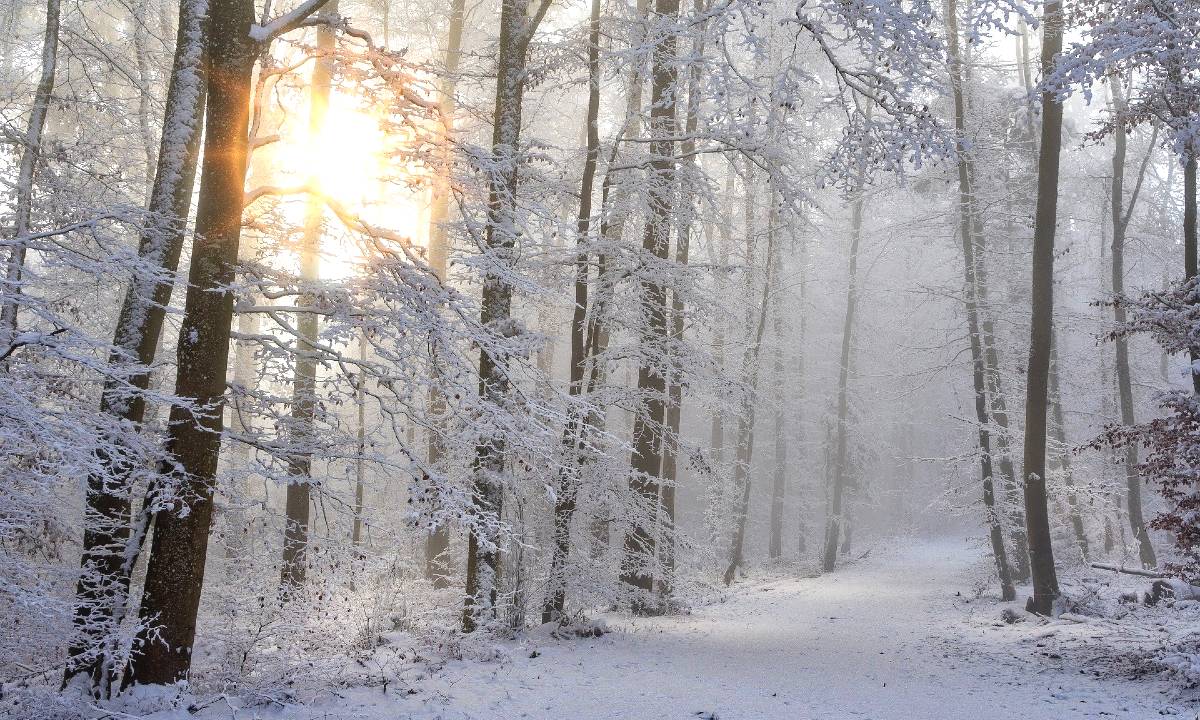 31 Frasi Sulla Neve In Inglese E Italiano Le Piu Suggestive E Romantiche