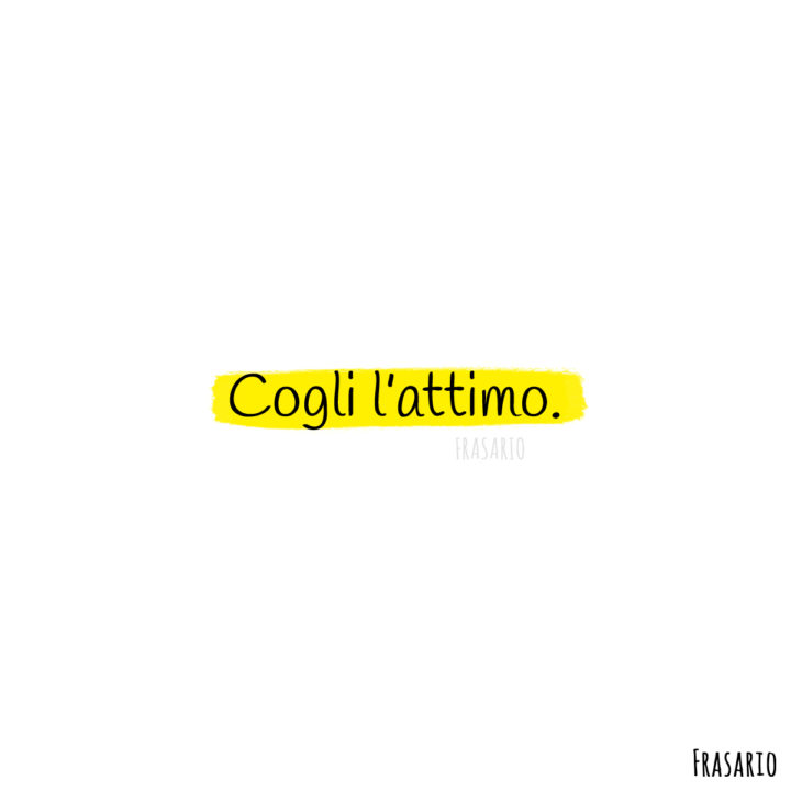 frasi latino vita cogli attimo