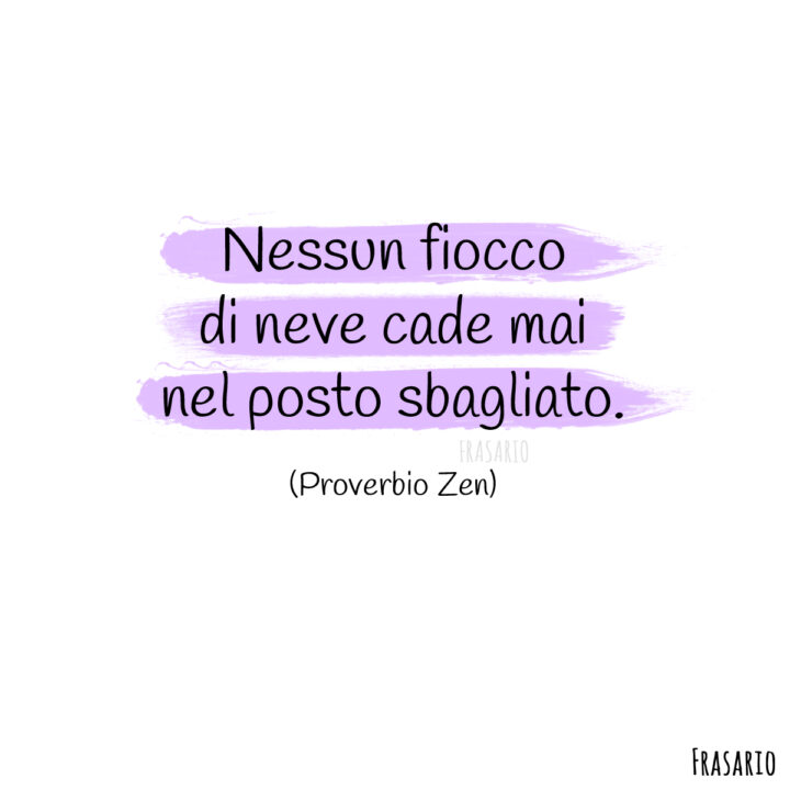 proverbi neve fiocco zen